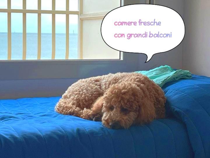 Buenos Aires Hotel Cervia